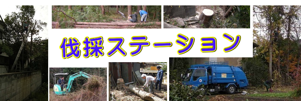 尾花沢市の庭木伐採、立木枝落し、草刈りを承ります。